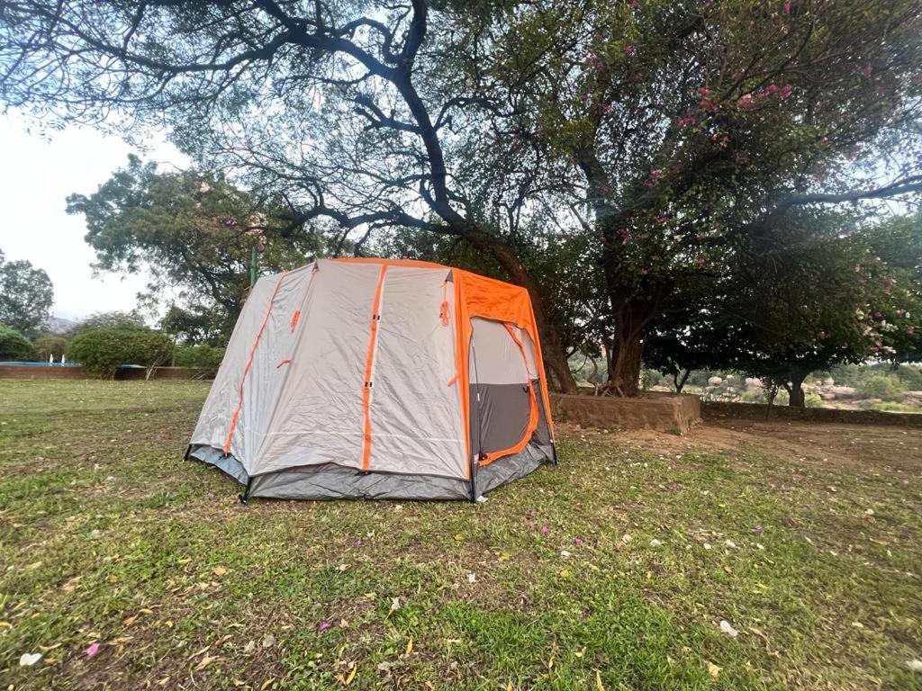 Leo Wodden Resort האמפי מראה חיצוני תמונה